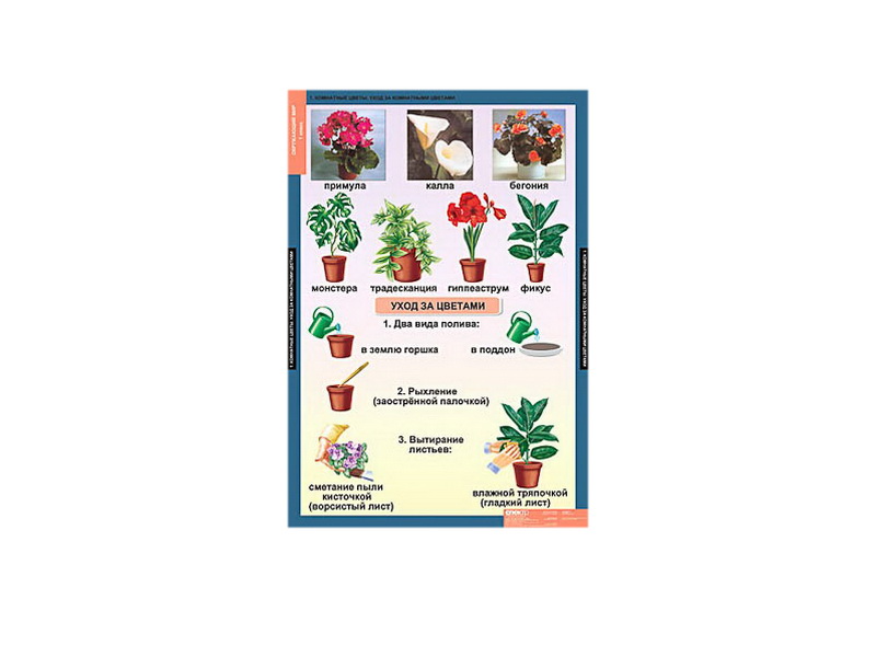 Комплект Таблицы демонстрационные «Окружающий мир», 1-4 кл.