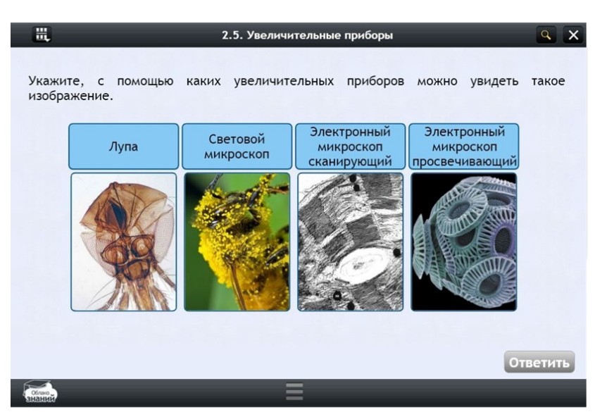 Электронные образовательные ресурсы по предмету Биология (11 класс)