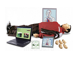 Тренажер Максим III-01 В/Р (торс) + обучающая программа, режимы, датчиками