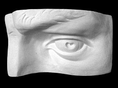 Гипсовая модель Глаз человека левый