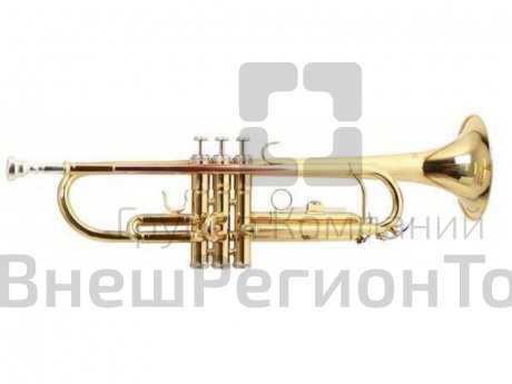 Труба Рой бэнсон - ROY BENSON TR-101.