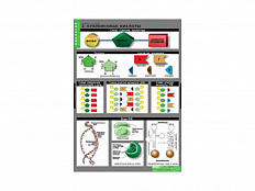 Таблицы "Химия клетки" 3 шт.