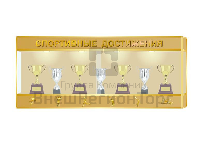 Витрина для кубков и наград Спортивные достижения.