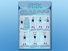 Стенд по ПДД Жесты тренера, 70х100 см