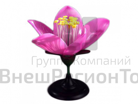 Модель Цветок персика.