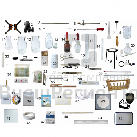 Кейс по биологии - Человек и его жизнедеятельность.