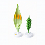 Модель цветка пшеницы