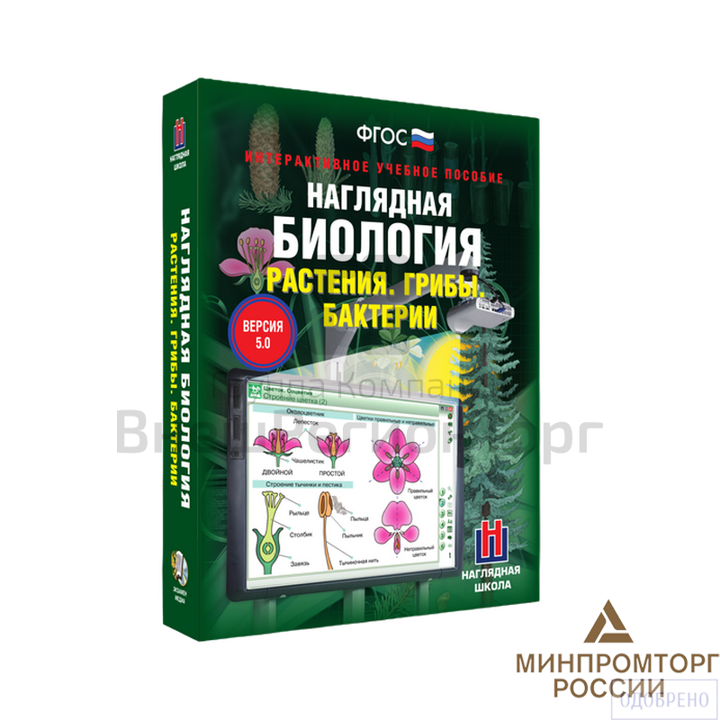 Наглядная биология. Растения. Грибы. Бактерии 6 класс (интерактивное пособие).