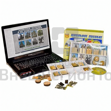 Коллекция натурально-интерактивная Древесные растения и их распространение.