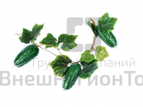 Ветка муляжей Огурцы.