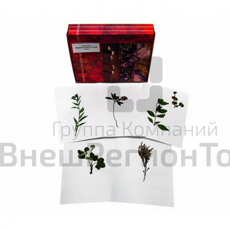 Гербарий "Медоносные растения".