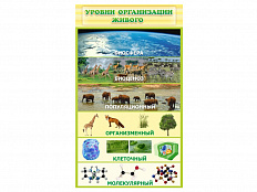 Стенд Уровни организации живого