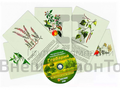 Интерактивный наглядный комплекс для начальной школы Гербарий.