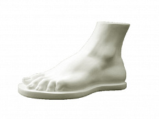 Гипсовая модель Стопа человека (Геракла)