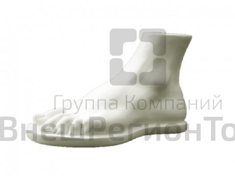Гипсовая модель Стопа человека (Геракла).