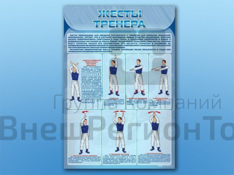 Стенд по ПДД Жесты тренера, 70х100 см.