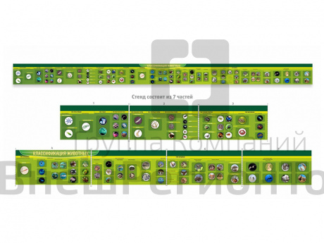 Стенд-лента Классификация групп животных (7 частей), 870х60 см.