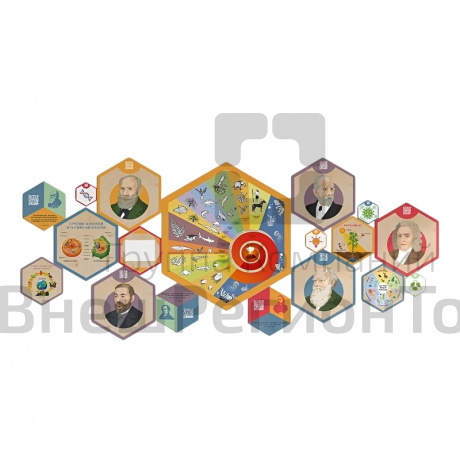 «Стендум - Биология» - набор информационно-методических панелей (18 шт.).