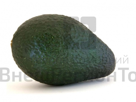 Муляж Авокадо.