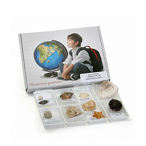 Коллекция «Обитатели морского дна» Б487 — 11 образцов