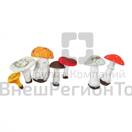 Набор муляжей грибов съедобных и ядовитых.