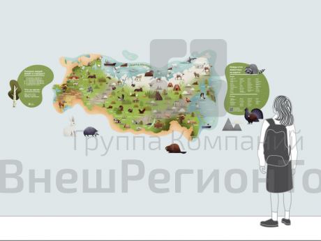 Карта России, 250x100 см.