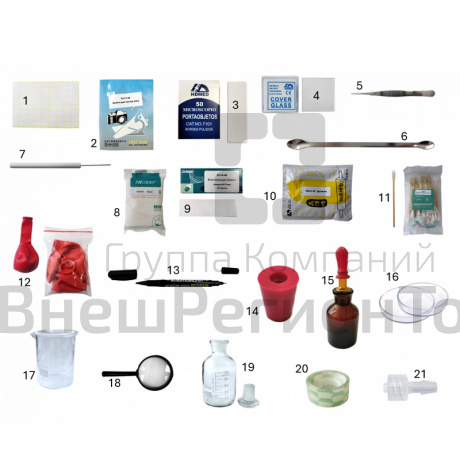 Кейс по биологии - Клетка и микроорганизмы.