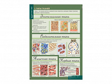 Набор таблиц "Биология 8-9 классы. Человек" 12 шт.