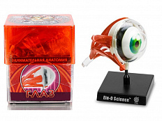 Набор Профессор Эйн: Глаз