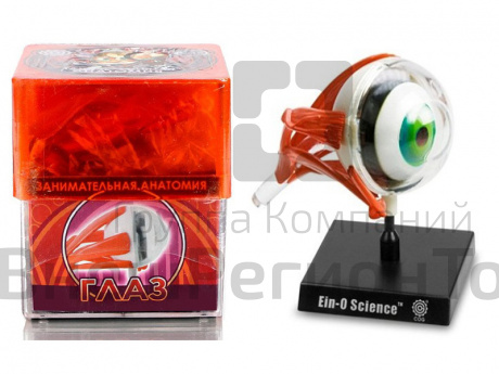 Набор Профессор Эйн: Глаз.