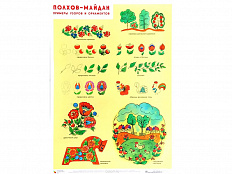 Плакат «Полхов-Майдан. Примеры узоров и орнаментов» 50*70 см