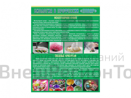 Стенд Биология в профессии Повар.