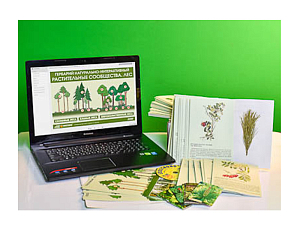 Гербарий натурально-интерактивный Растительные сообщества. Лес