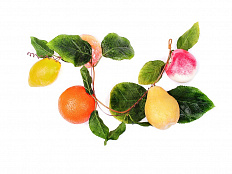 Ветка муляжей Ассорти (фрукты)