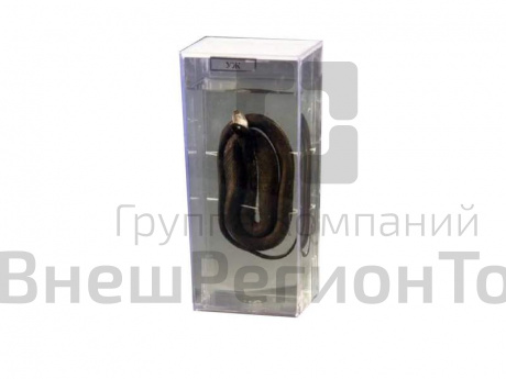 Влажный препарат Уж.