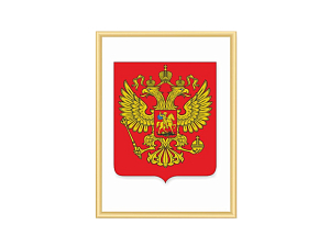 Герб Российской Федерации в рамке NIELSEN 42×56 см