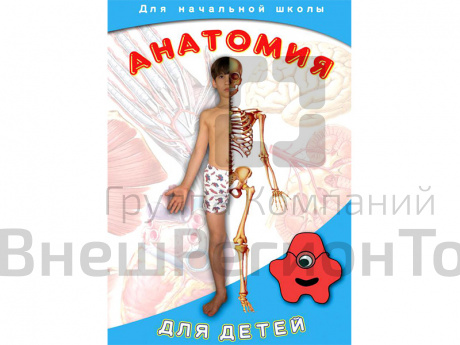 DVD-диск Анатомия для детей.