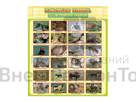 Стенд Красная книга - Млекопитающие.