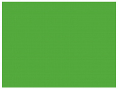 Бумажный фон зелёный 2,7x11 м