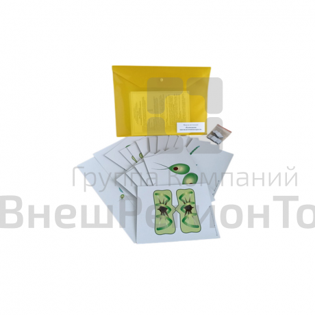 Модель-аппликация Размножение многоклеточной водоросли.