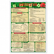 Комплект раздаточных таблиц по биологии