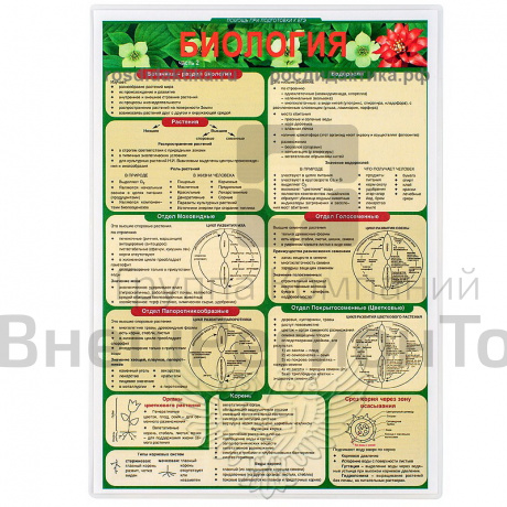 Комплект раздаточных таблиц по биологии.