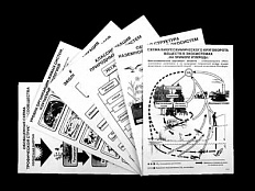 Комплект таблиц по экологии "Экосистема-экологическая единица окружающей среды" А4