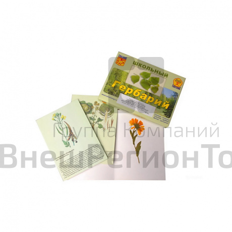 Гербарий "Систематика растений. Семейство Пасленовые, Крестоцветные, Сложноцветные".