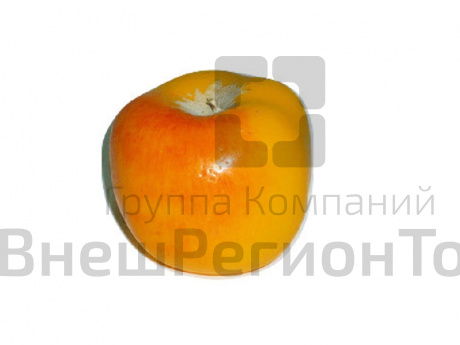 Муляж Яблоко Славянка.
