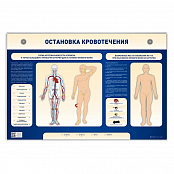 Электрифицированный стенд-тренажер Остановка кровотечения
