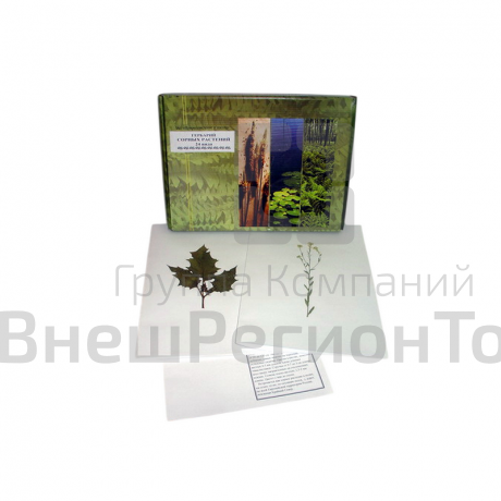 Гербарий "Сорные растения" (24 вида).