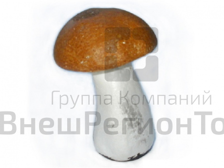 Муляж Гриб белый.