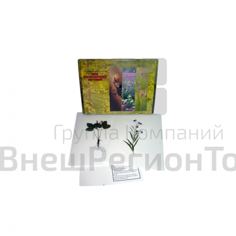 Гербарий "Лекарственные растения" (20 видов).