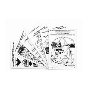 Комплект таблиц «Экосистема» A4